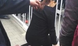 孕妇解剖在线观看,揭秘母体奥秘与胎儿发育过程