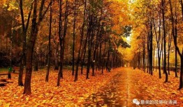 秋天妈妈最新爆料回放,揭秘明星家庭温馨瞬间