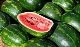 免费吃瓜招牌,揭秘娱乐圈幕后真相！