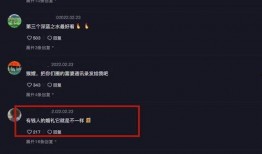 网上爆料何钰欣视频,网络热议背后的真相与细节