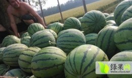 吃瓜最新事件爆料菏泽,揭秘背后惊人真相