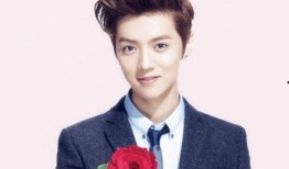 鹿晗之前爆料了吗视频下载,爆料视频背后的故事