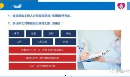 酒店后厨爆料流程视频教程,揭秘后厨操作流程与安全规范